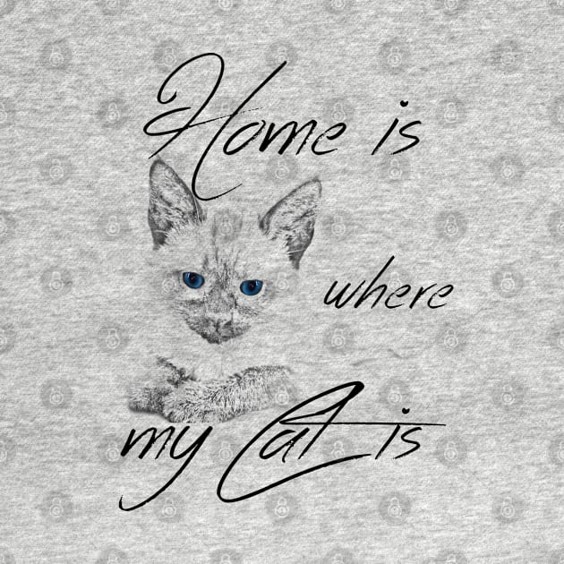 Home is where my cat is by GNDesign